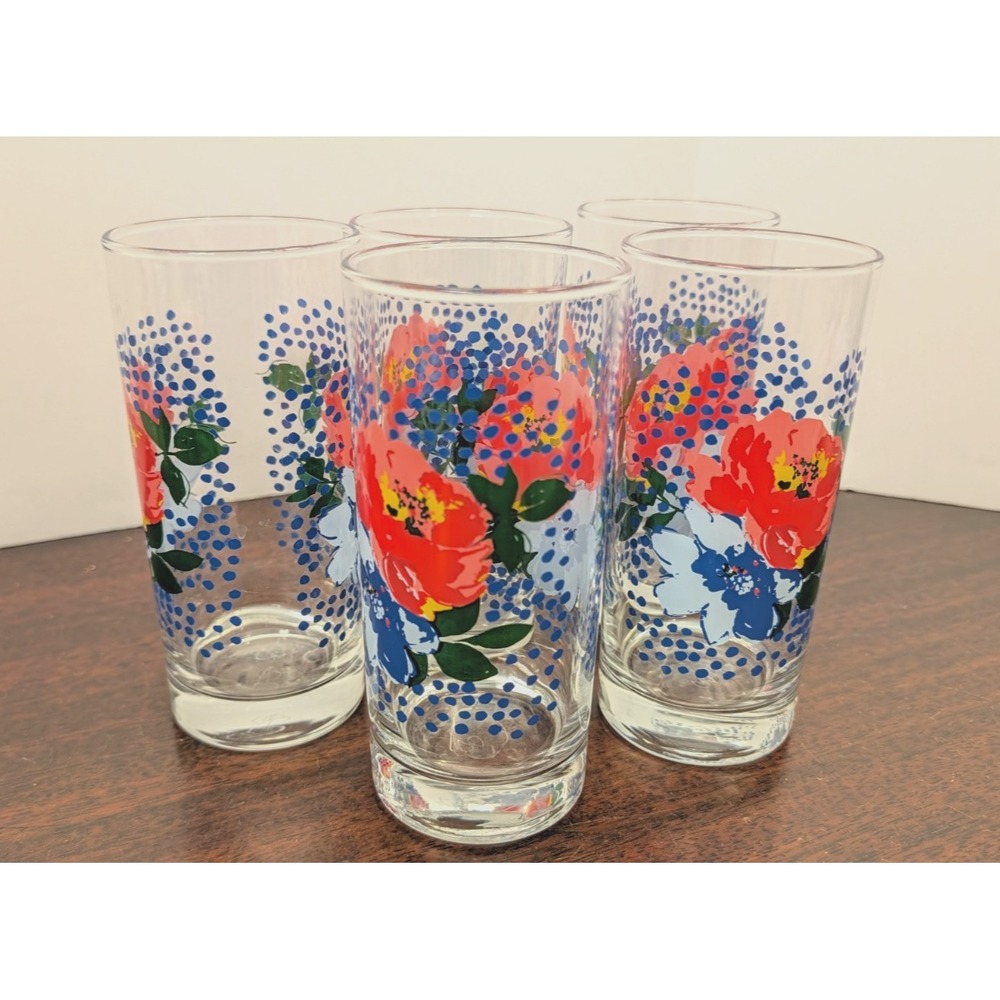 Pioneer Woman Floral Drinking Glasses Set of 5 Red Blue Flowers Polka Dot 6in